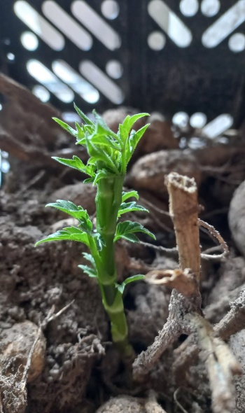 278994176 5770199366340526 7051325282273615207 n