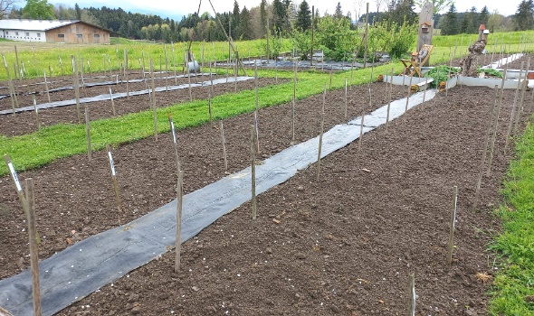 279025674 5770199189673877 7072453743382035319 n