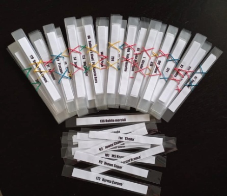 279077427 5770198516340611 1859801101845614534 n 279077427 5770198516340611 1859801101845614534 n