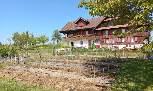 279113054 5778084052218724 5750503294281482899 n