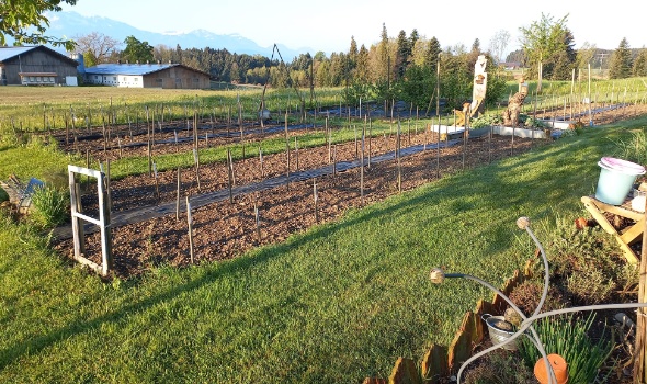 279113826 5778083202218809 785890451689528308 n 279113826 5778083202218809 785890451689528308 n