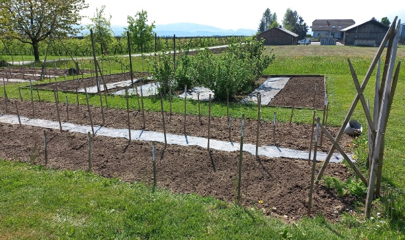 279132460 5778083888885407 4752371111149868672 n