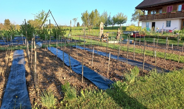 279133902 5778083395552123 4246607850666895465 n