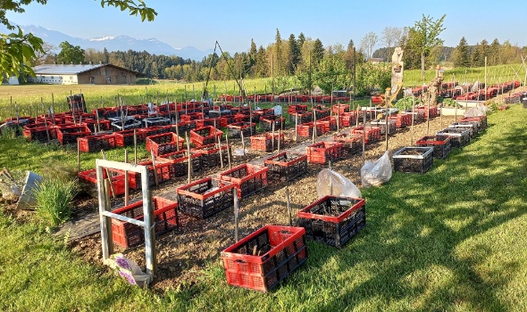 279175035 5778083682218761 8043817043188066821 n