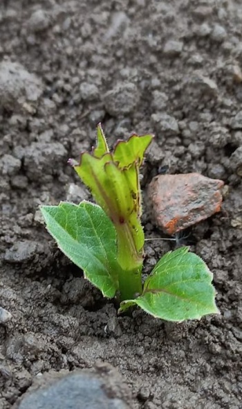 279970471 5804732316220564 8888277031214866384 n 279970471 5804732316220564 8888277031214866384 n