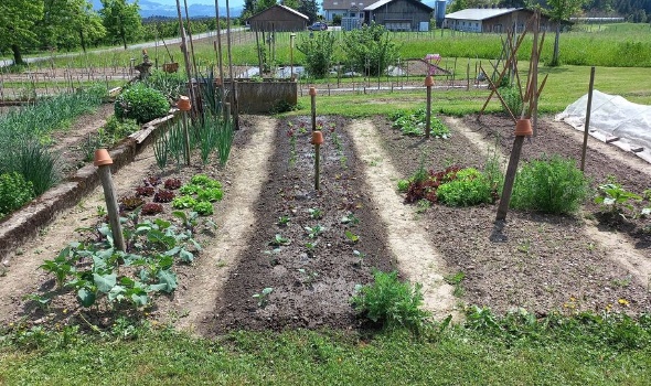 280318162 5819091814784614 4276764185366561143 n 280318162 5819091814784614 4276764185366561143 n