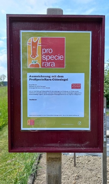 280483252 5819089428118186 3308590798268183347 n 280483252 5819089428118186 3308590798268183347 n