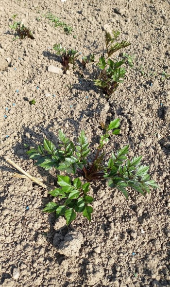 280534193 5825485397478589 2721776061869798395 n 280534193 5825485397478589 2721776061869798395 n