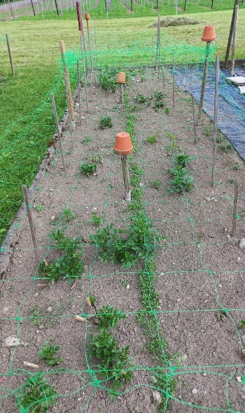 280752795 5840287952665000 7475884991146400592 n 280752795 5840287952665000 7475884991146400592 n