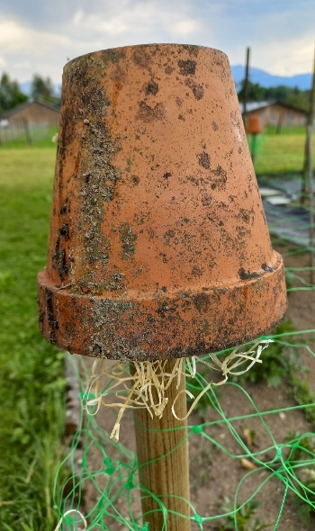 280754925 5840288149331647 4607134253474251973 n