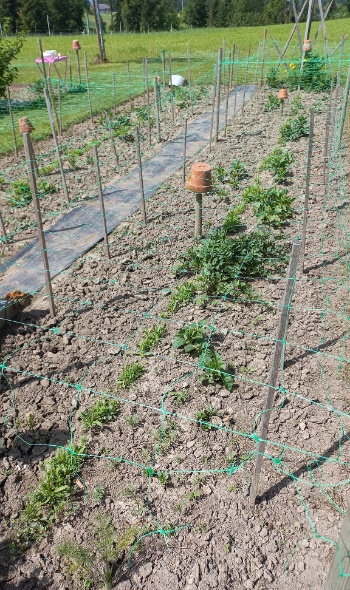 281064901 5852808588079603 7526497962032361239 n 281064901 5852808588079603 7526497962032361239 n