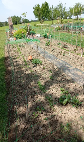 281173333 5852808934746235 8036327432682031492 n