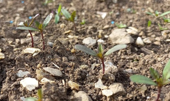 281586884 5831581773535618 466387067698120389 n 281586884 5831581773535618 466387067698120389 n