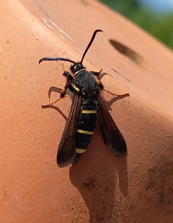 281692226 5839703716056757 6122303533200320986 n 281692226 5839703716056757 6122303533200320986 n