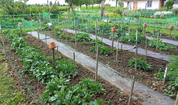 282133780 5884241598269635 3488353554440100442 n