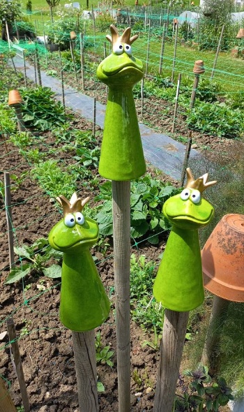 282133818 5884242994936162 5465281988100784796 n 282133818 5884242994936162 5465281988100784796 n