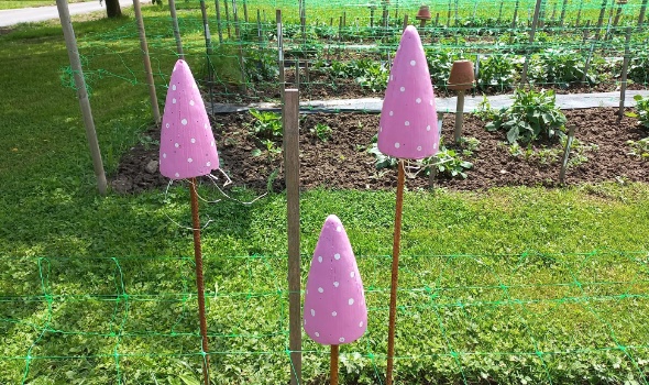 282141780 5884238678269927 5255559764100661200 n