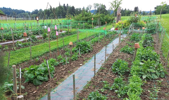 282145438 5884241271603001 7680980184258526045 n 282145438 5884241271603001 7680980184258526045 n