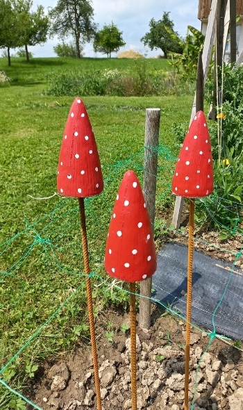 282665849 5884238378269957 7077405911506581701 n