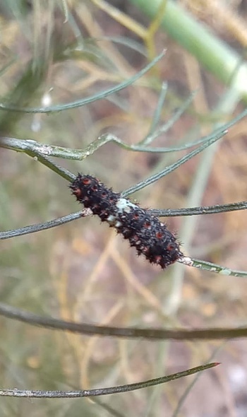 283412037 5849533935073735 3570966940166000643 n