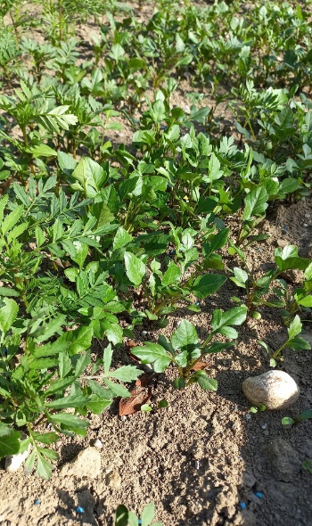 283452327 5890655920961536 2302288531346907905 n 283452327 5890655920961536 2302288531346907905 n