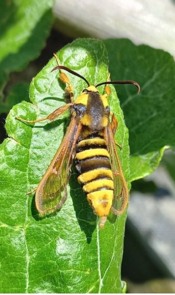 285915534 5884984851528643 7113302108361634248 n 285915534 5884984851528643 7113302108361634248 n