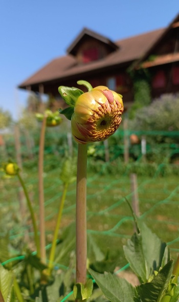 287194071 5934155589944902 4144025344899681982 n