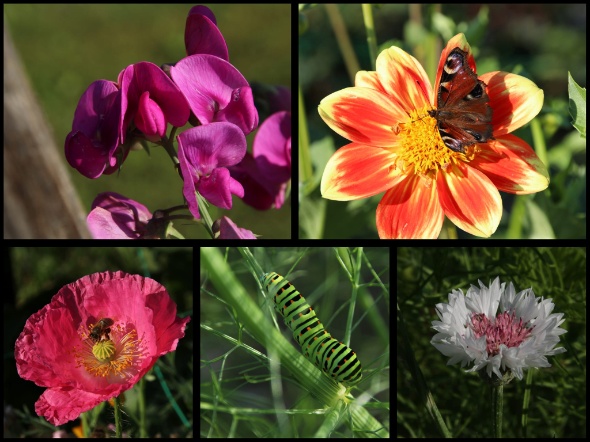 289606053 5975393742487753 5353069752973094479 n