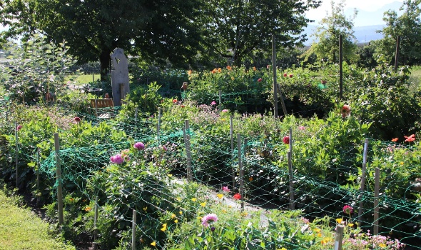 289624972 5975394579154336 9215389417168622629 n