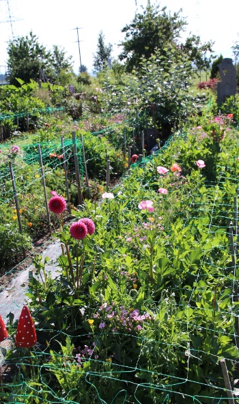 289641137 5975394835820977 5785898196380105112 n