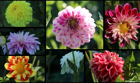 289655859 5975394172487710 4224286373513196324 n