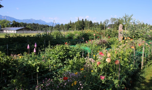 289698939 5975394339154360 8160329699409066483 n