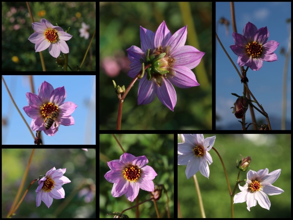 289702793 5975393849154409 2184044406520455999 n 289702793 5975393849154409 2184044406520455999 n