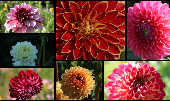 289706673 5975393622487765 9065836700918159922 n