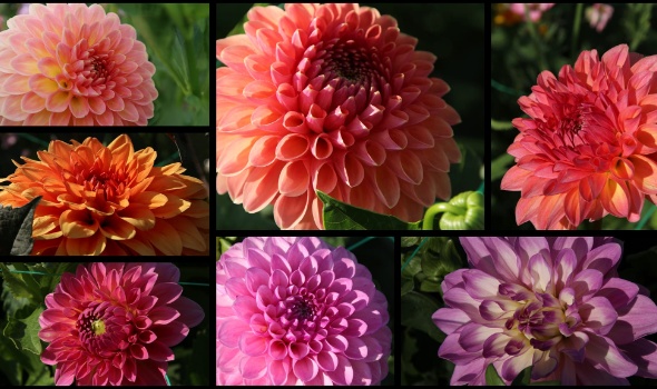 289717538 5975393962487731 3716103303842656701 n