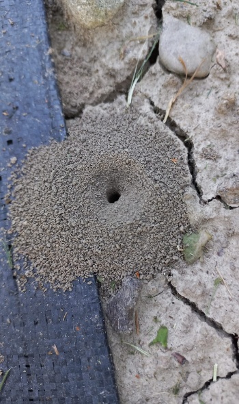 292288611 6007096052650855 8484148746945657532 n 292288611 6007096052650855 8484148746945657532 n