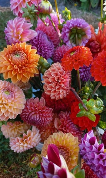 293728216 6022152084478585 1797819428529183759 n 293728216 6022152084478585 1797819428529183759 n