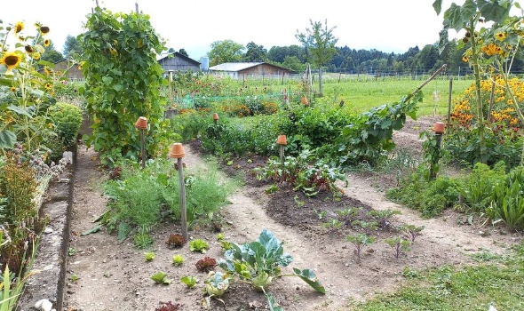 295049210 6045233252170468 266505209186520827 n 295049210 6045233252170468 266505209186520827 n