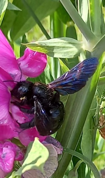 295972599 6040376975989429 1021089701943352717 n 295972599 6040376975989429 1021089701943352717 n