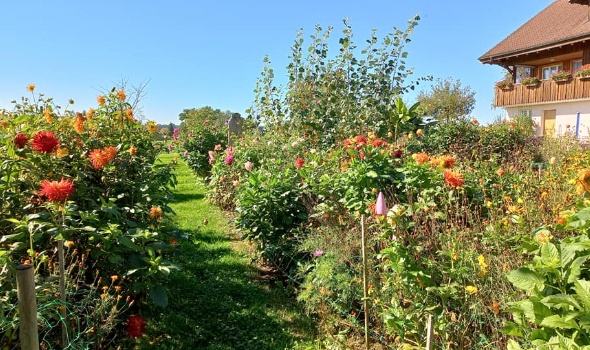 310782770 583230130267195 9165745638699320315 n