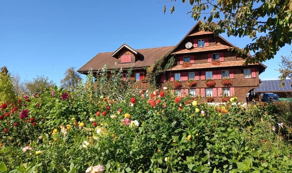 310974781 583230083600533 5543275272237945252 n