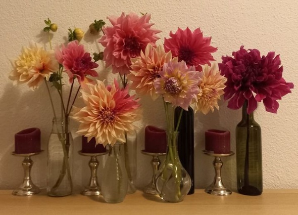 311719102 589952442928297 2273461073307394908 n 311719102 589952442928297 2273461073307394908 n