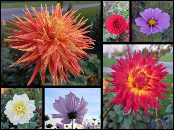 312933512 608187561104785 3769986396394414281 n 312933512 608187561104785 3769986396394414281 n