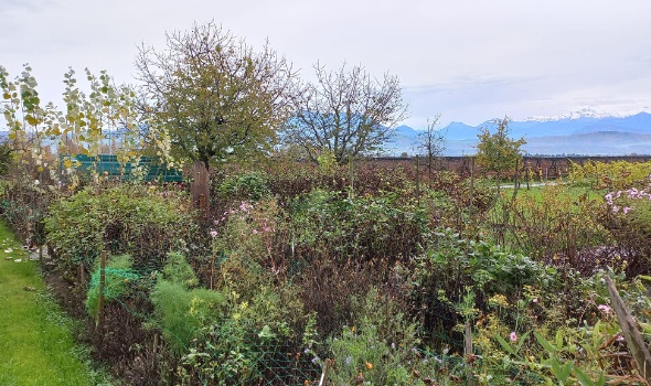 314694574 614653590458182 9215671379145744795 n