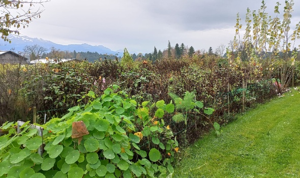 314728785 614653633791511 9061664613085196983 n