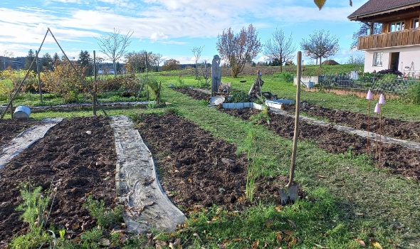 314951189 615508130372728 6372989439045216132 n