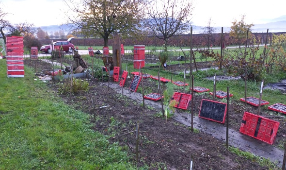 314952529 615507967039411 7044104965156171494 n