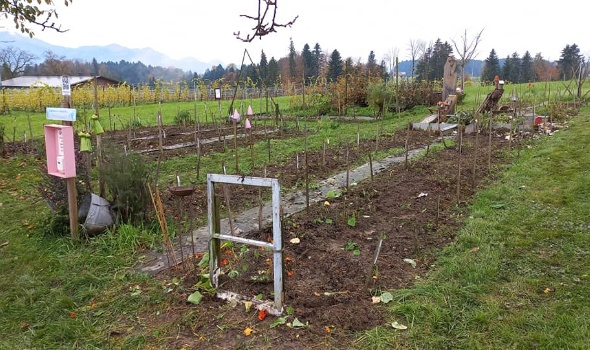 315313580 614653503791524 5278011277847855340 n 315313580 614653503791524 5278011277847855340 n