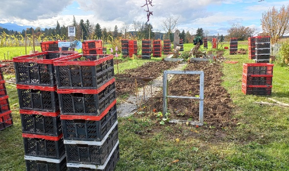 315567800 615508067039401 7903079340979422703 n