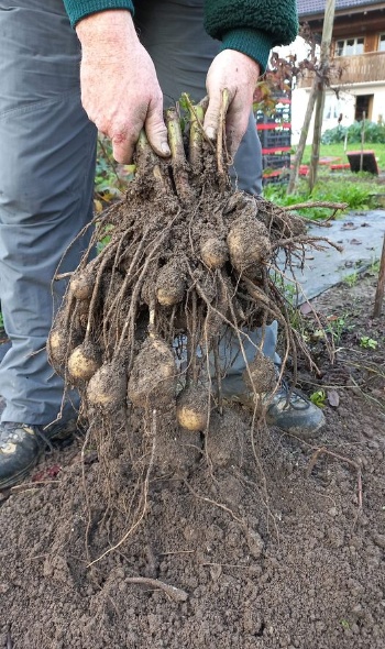 315647379 615510840372457 6736962642571820103 n 315647379 615510840372457 6736962642571820103 n